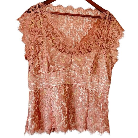 Ann Taylor Fairy Lace Top Sheer Pink Lace with Removable Cami V Neck   Size 14 - Picture 1 of 10